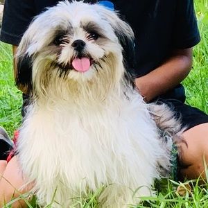 Meet your Posher, Abraham